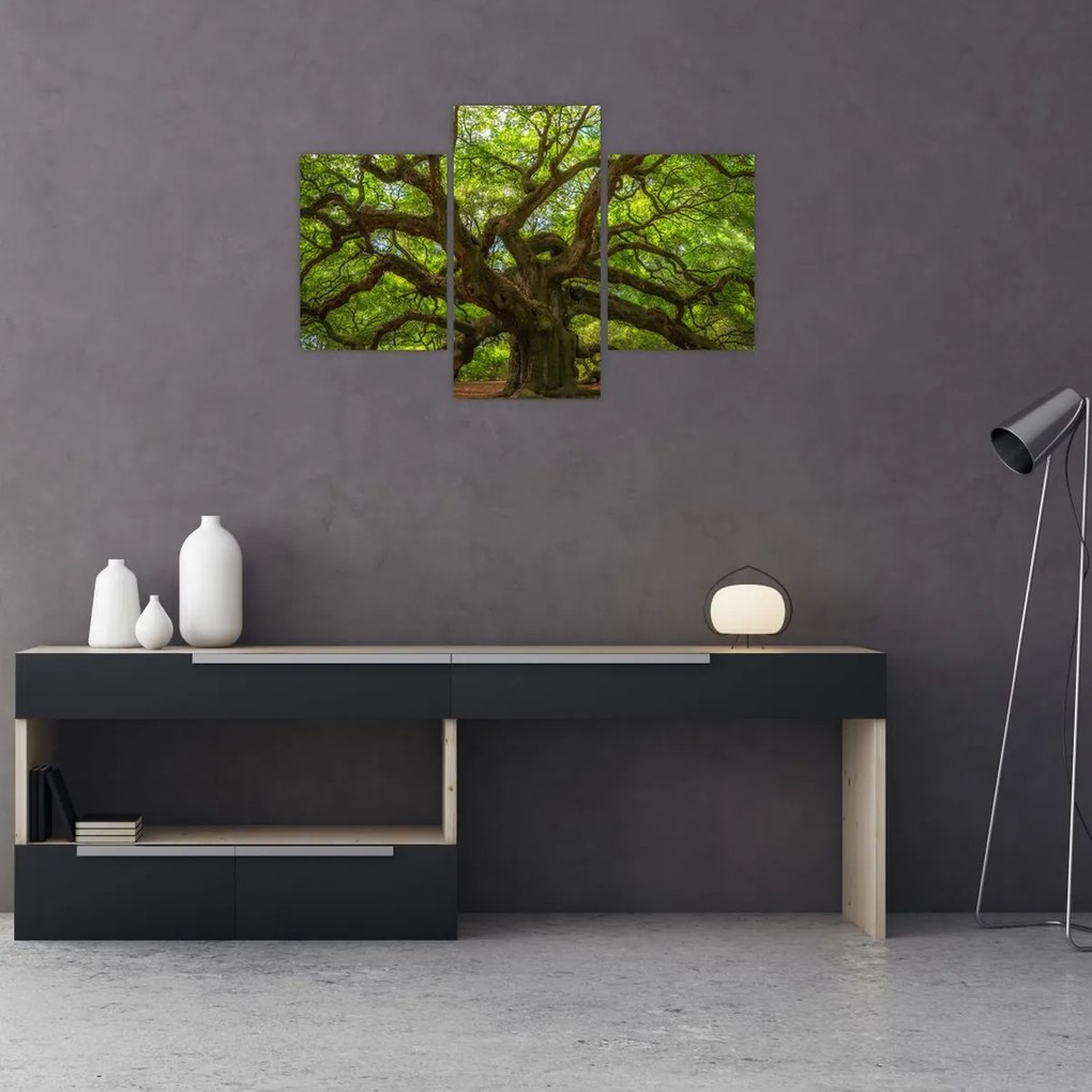 Tablou - Copac verde (90x60 cm)