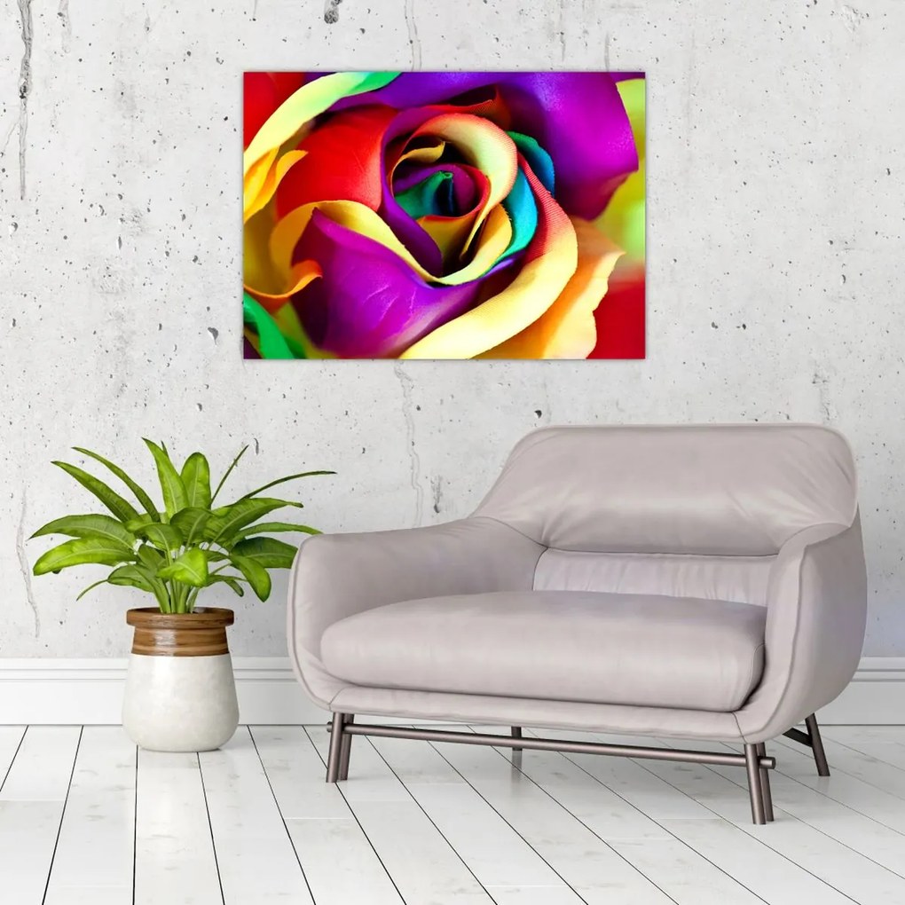 Tablou pe sticlă - Trandafir colorat (70x50 cm)