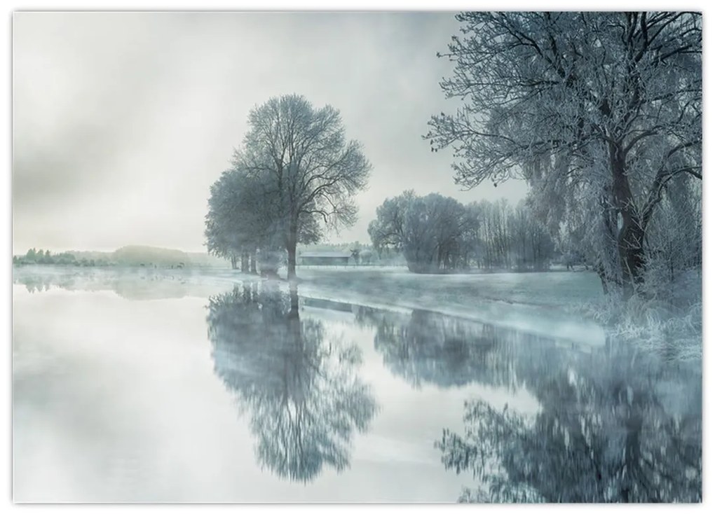 Tablou cu natura iarna (70x50 cm)