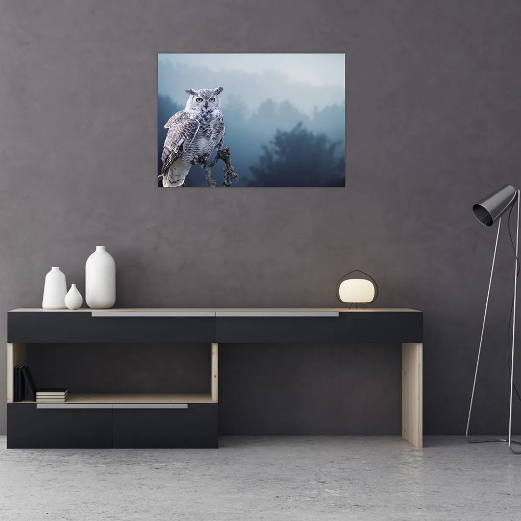 Tablou pe sticlă - Bufniță de zăpadă (70x50 cm)
