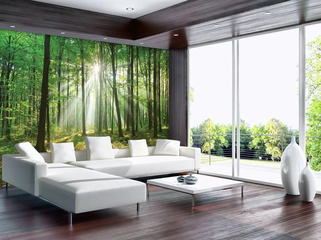 Fototapet - Pădurea în lumina zilei (152,5x104 cm)