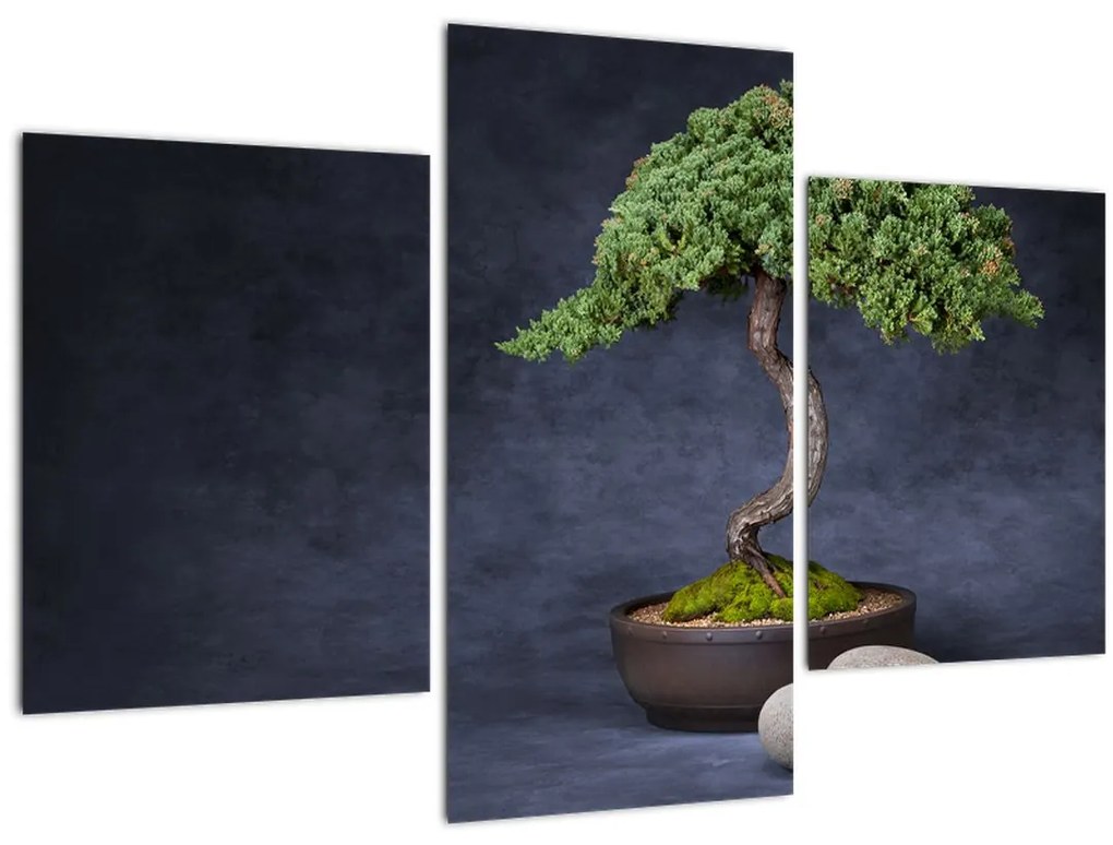 Tablou - Bonsai (90x60 cm)