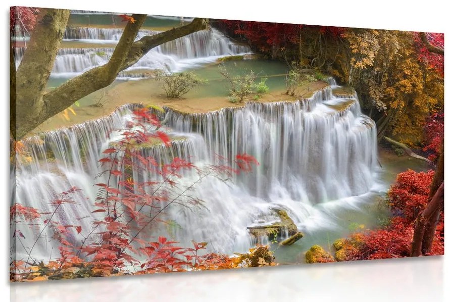 Tablou cascada forestieră
