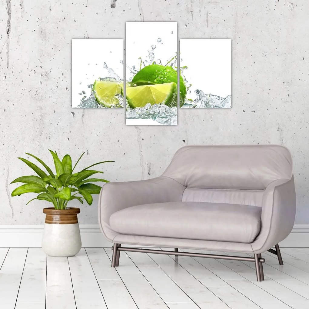 Tablou - Limes (90x60 cm)