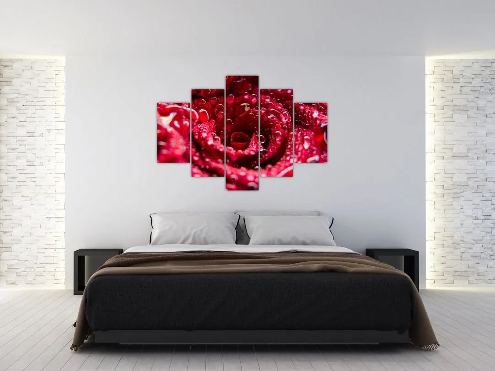 Tablou cu floarea trandafirului roșu (150x105 cm)