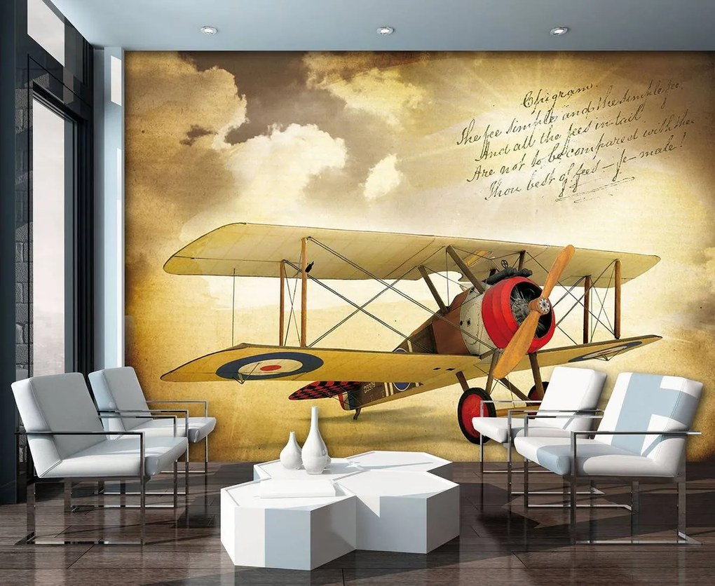Fototapet - Vintage avion (152,5x104 cm)