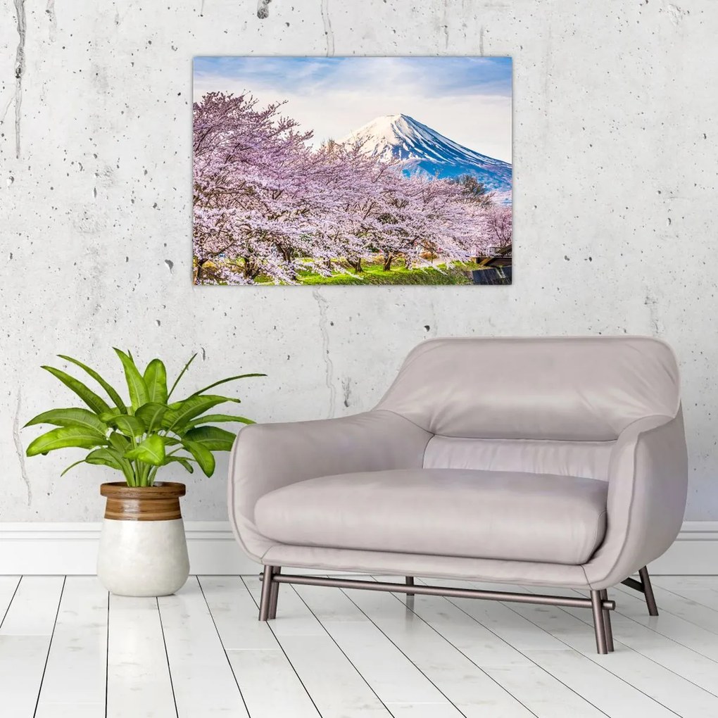 Tablou pe sticlă - Japonia în primăvară (70x50 cm)