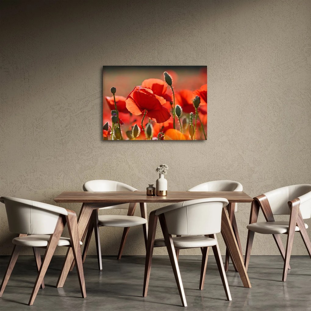 Tablou cu flori de maci (70x50 cm)