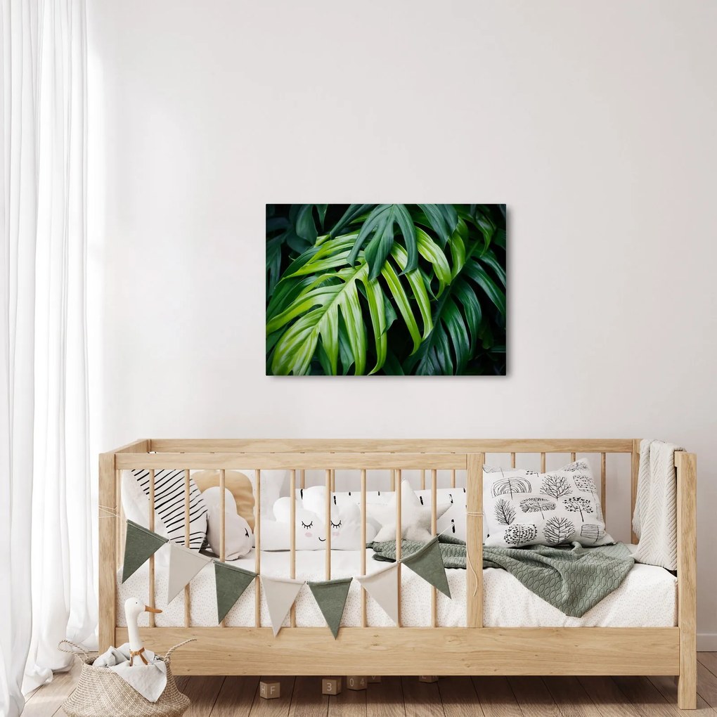 Tablou - Frunze tropicale (70x50 cm)