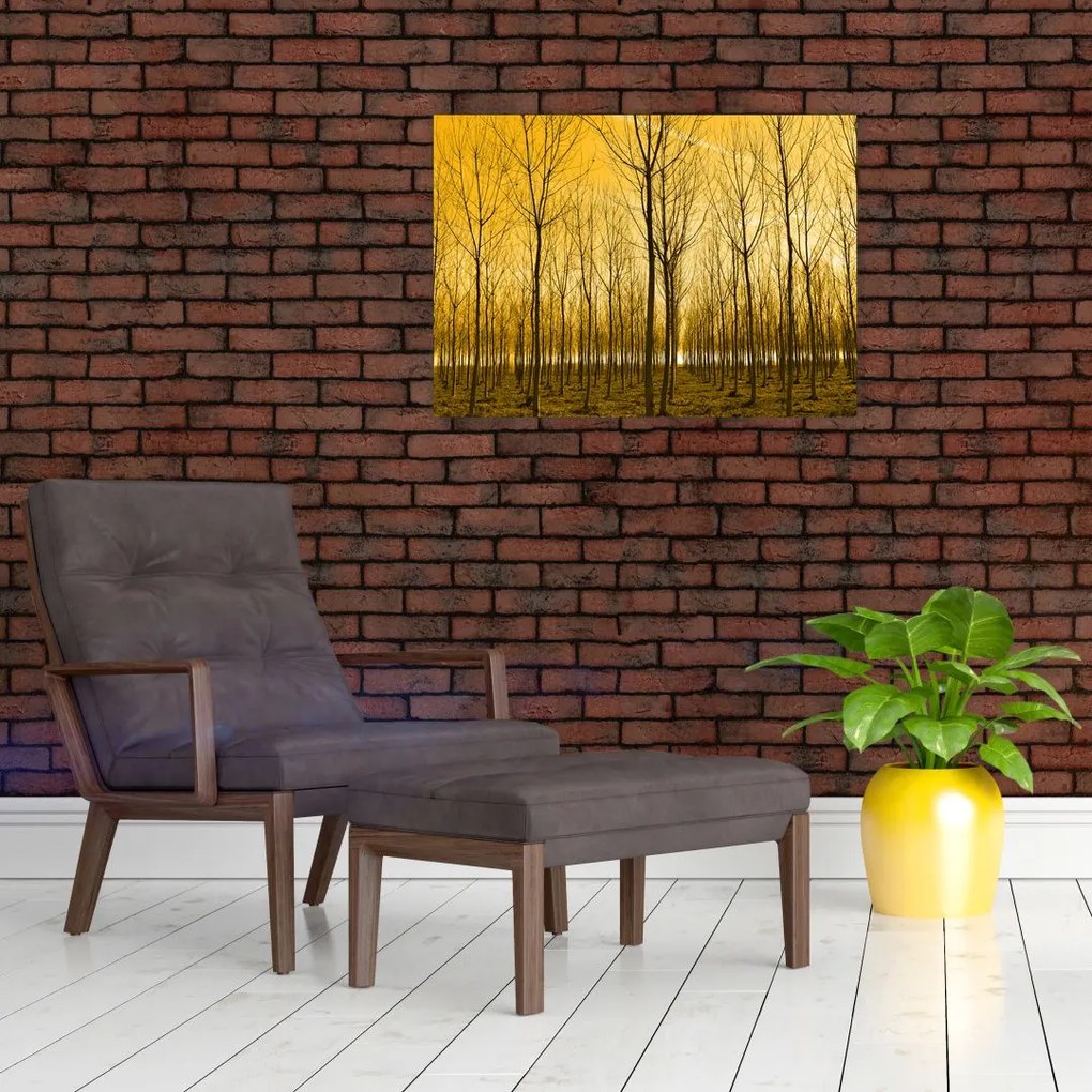 Tablou cu pădure în apus de soare (70x50 cm)