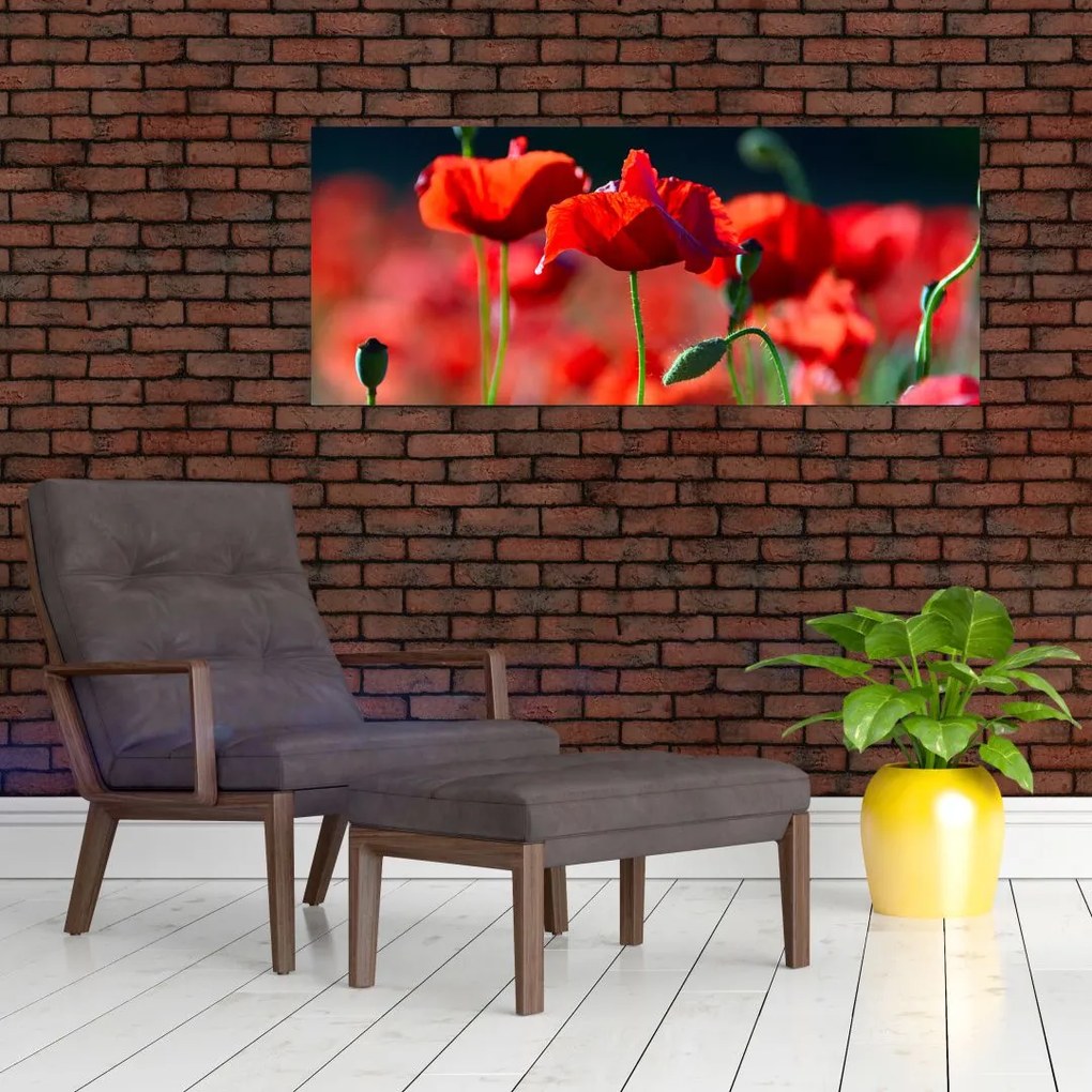 Tablou - flori de maci (120x50 cm)