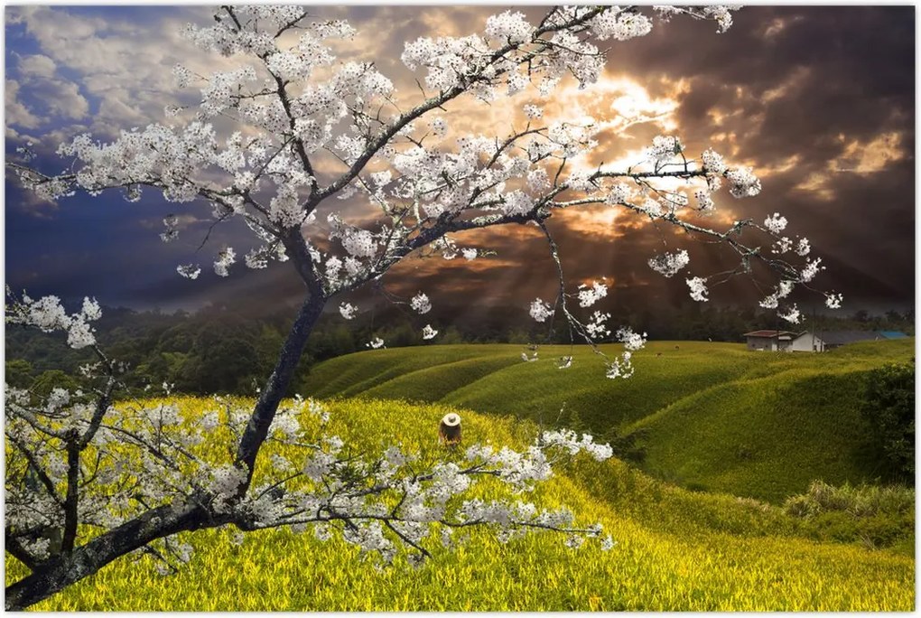 Tablou - Peisaj cu pomul înflorit (90x60 cm)