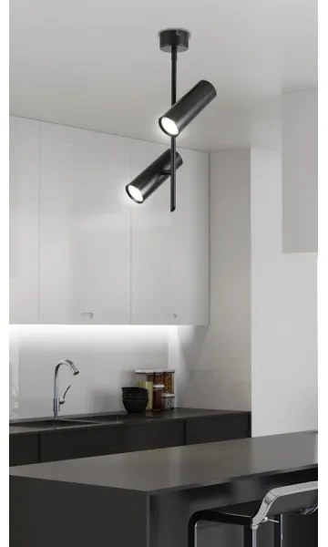 Spot LED TUBA 2xLED/10W/230V negru