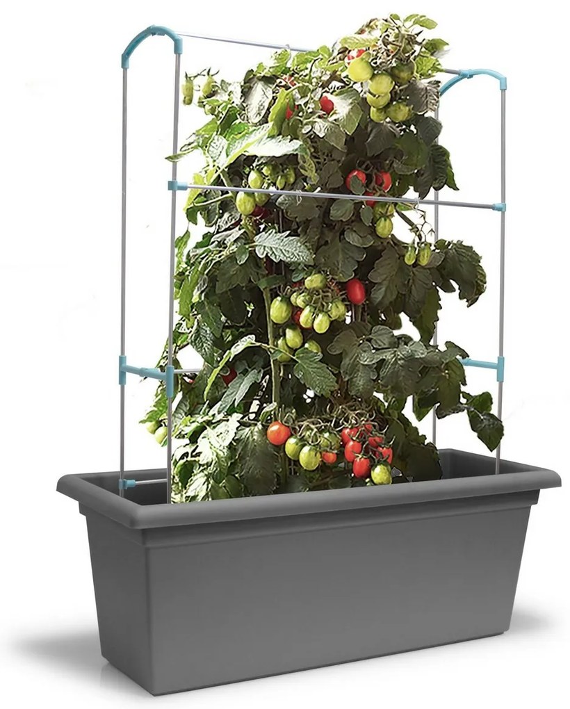 Gardenico Suport vertical Green Wall Magnus, 100cm, 100 cm