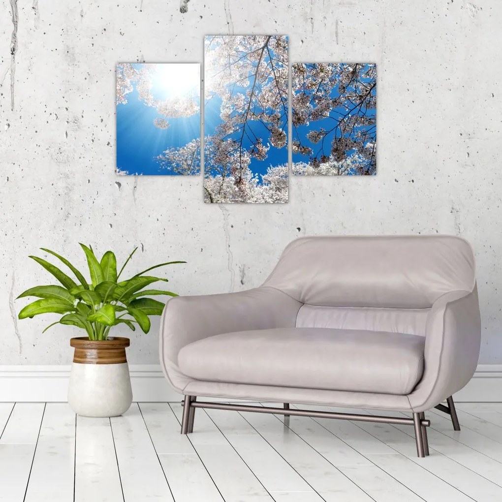 Tablou - Flori de cireș (90x60 cm)