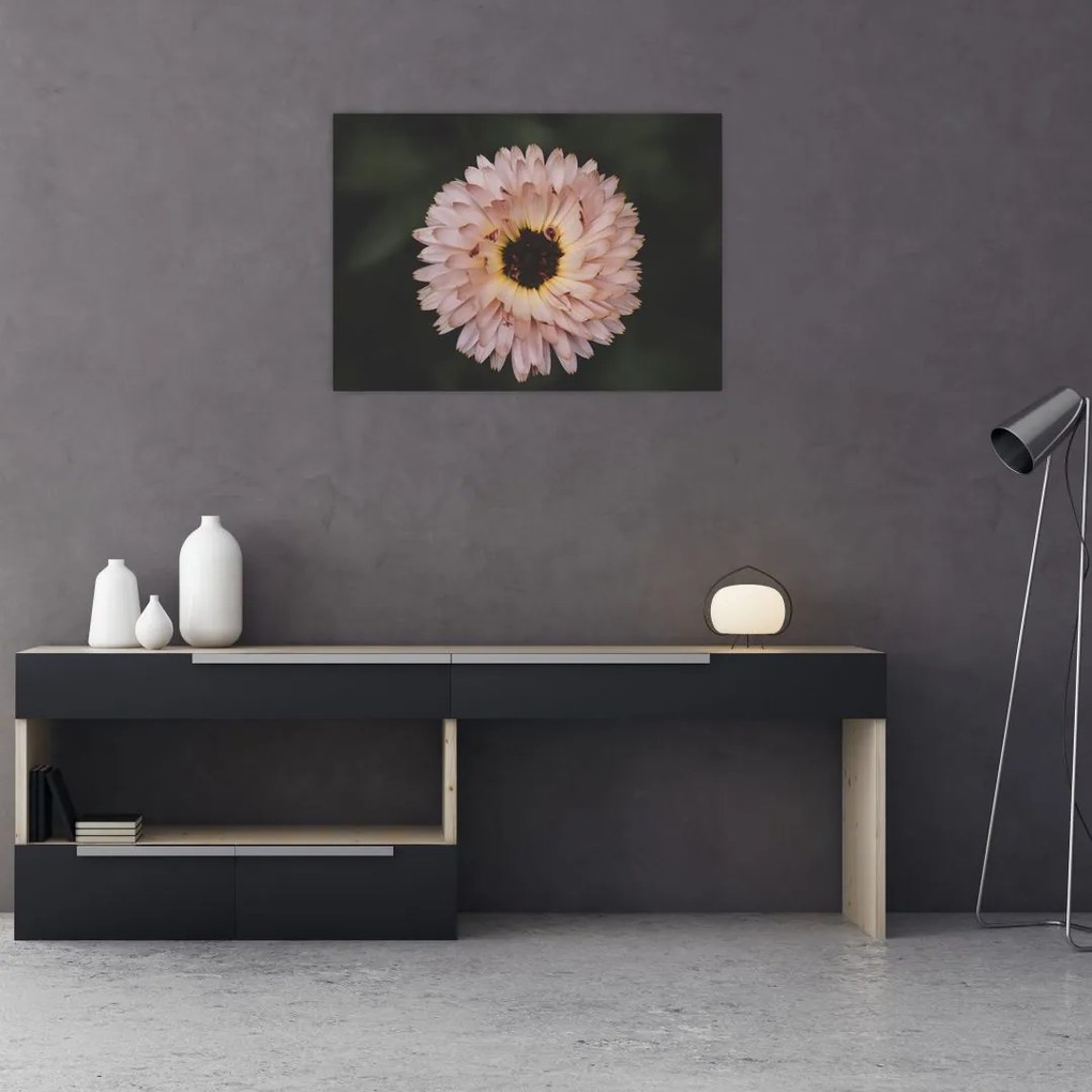 Tablou cu floare portocalie (70x50 cm)