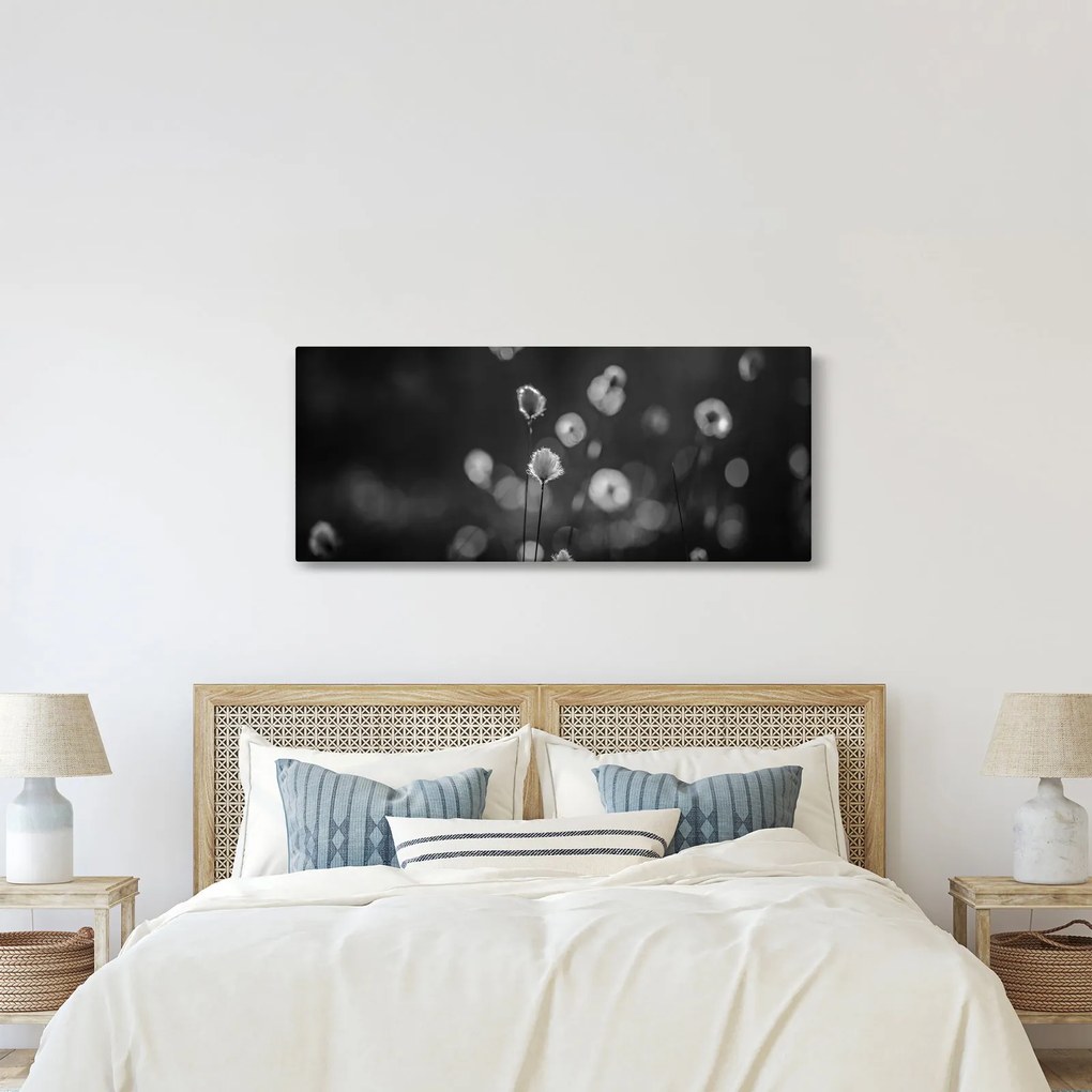 Tablou - Iarba de bumbac în pajiște (120x50 cm)