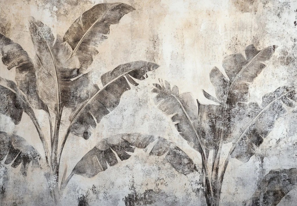 Fototapet - Bananier pe Perete (147x102 cm)