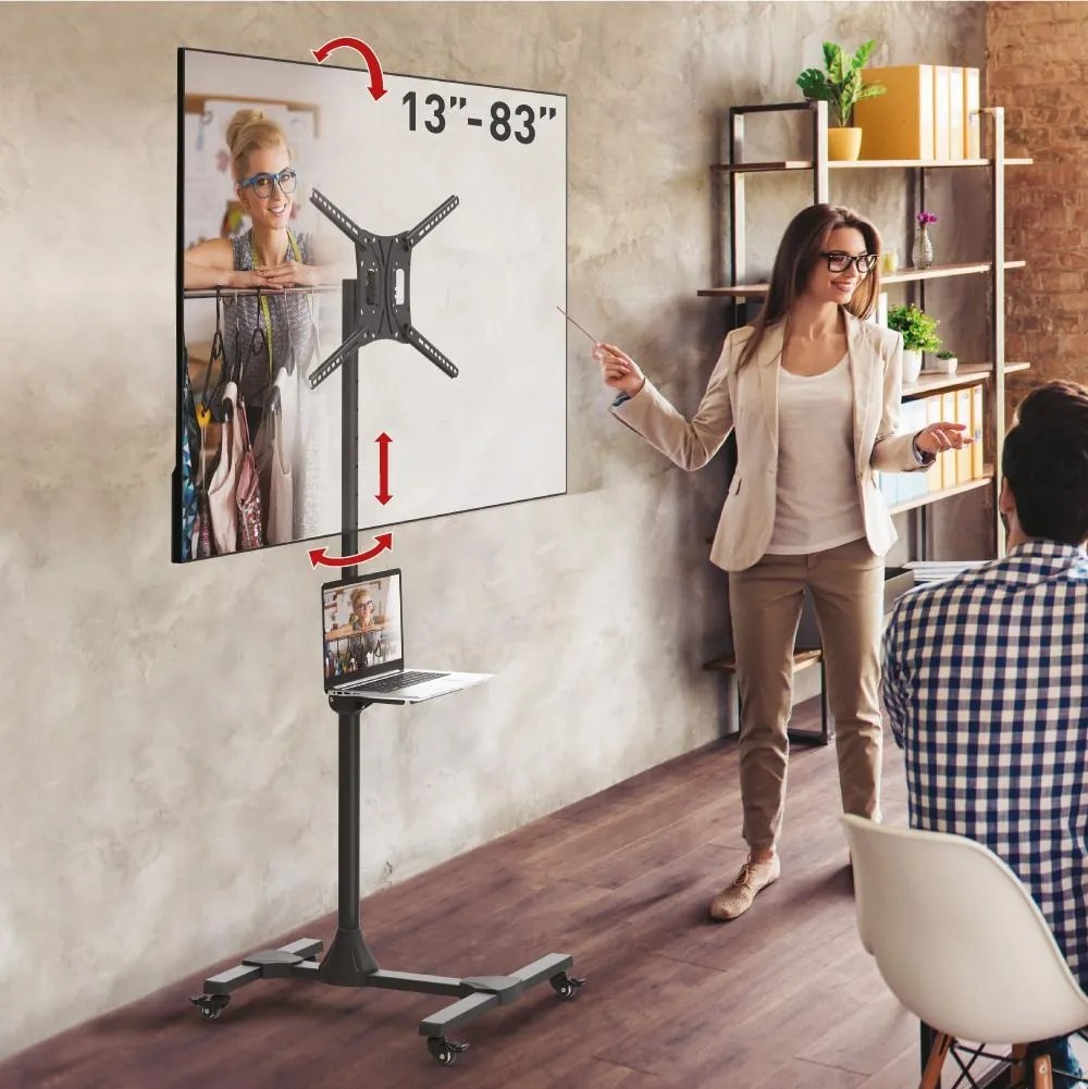 Stand TV Barkan 13-65" 50kg
