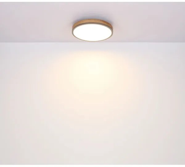 Plafonieră LED DORO LED/12W/230V d. 30 cm Globo 416080WD1R
