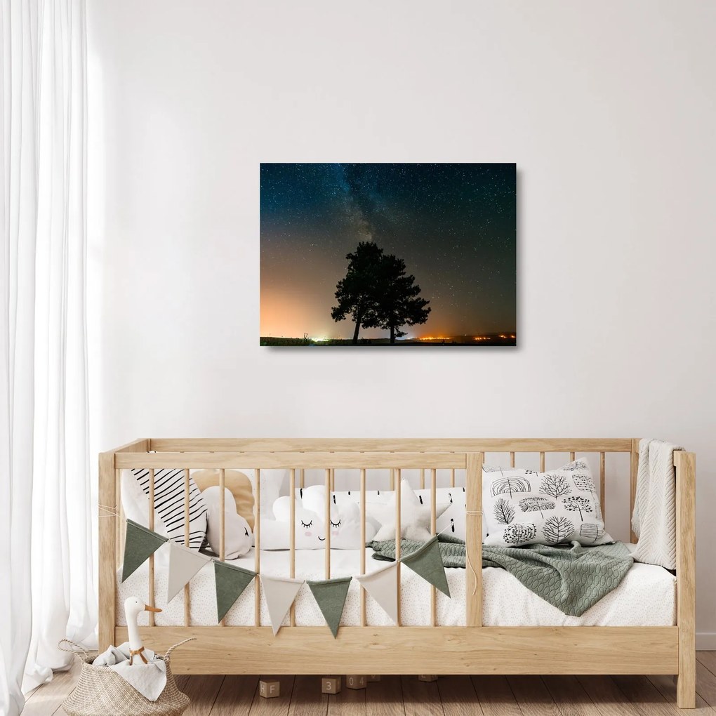 Tablou pe sticlă cu cerul nocturn și copaci (70x50 cm)