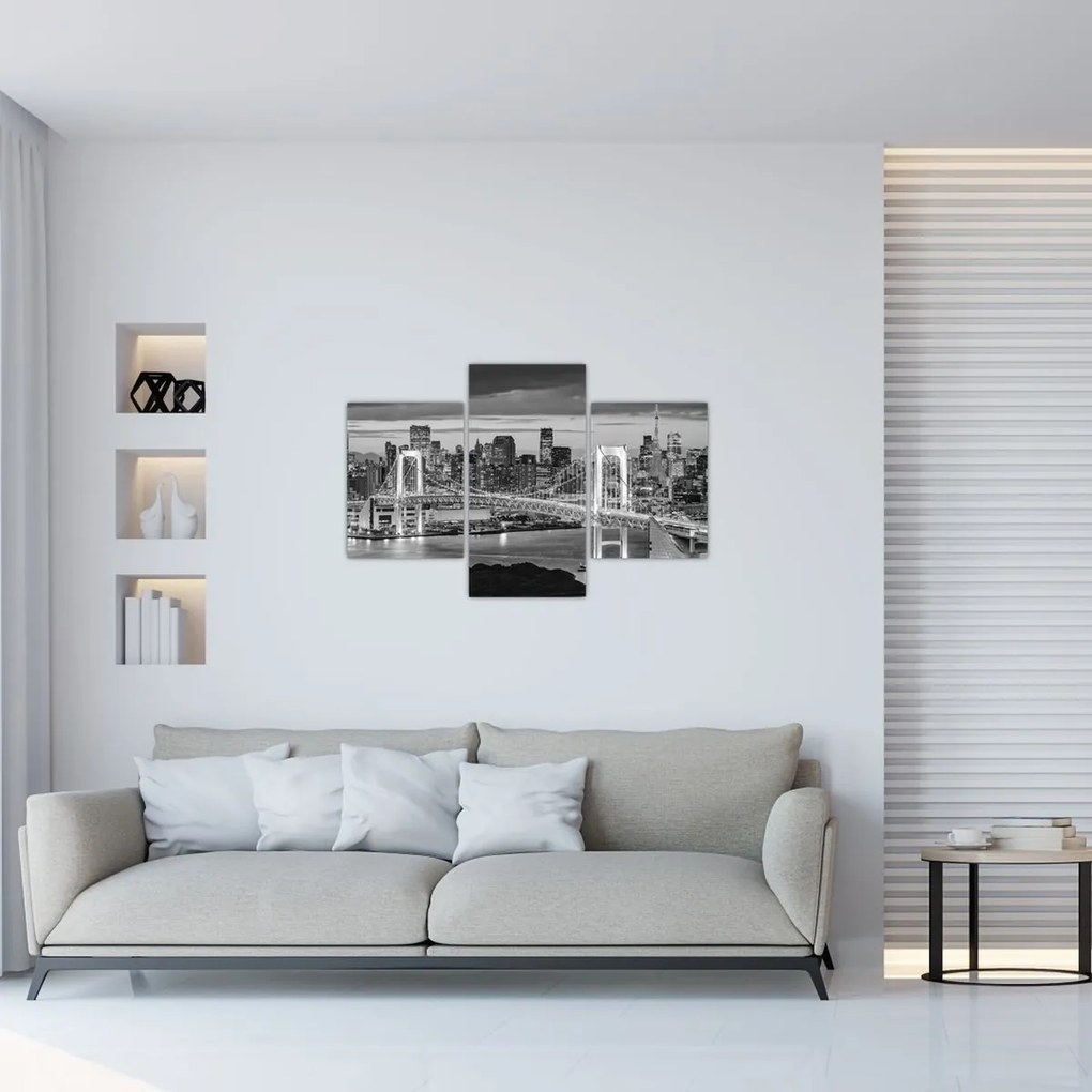 Tablou - Negru și alb oraș mare (90x60 cm)