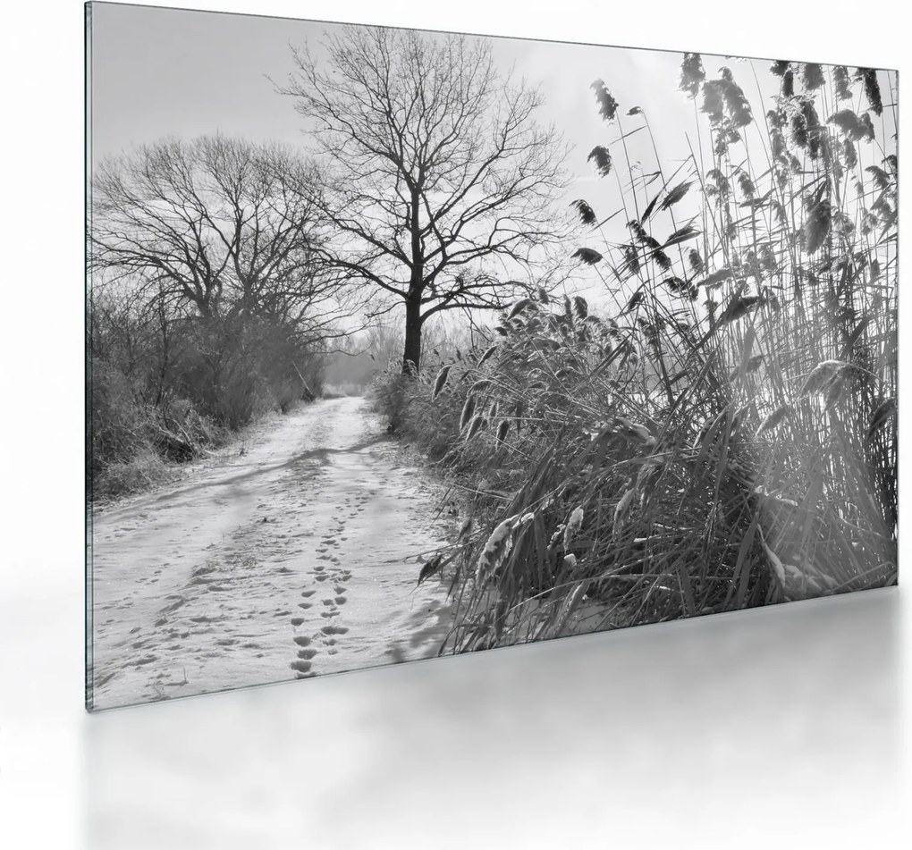 Tablou pe sticlă - Câmpuri în timpul iernii (70x50 cm)