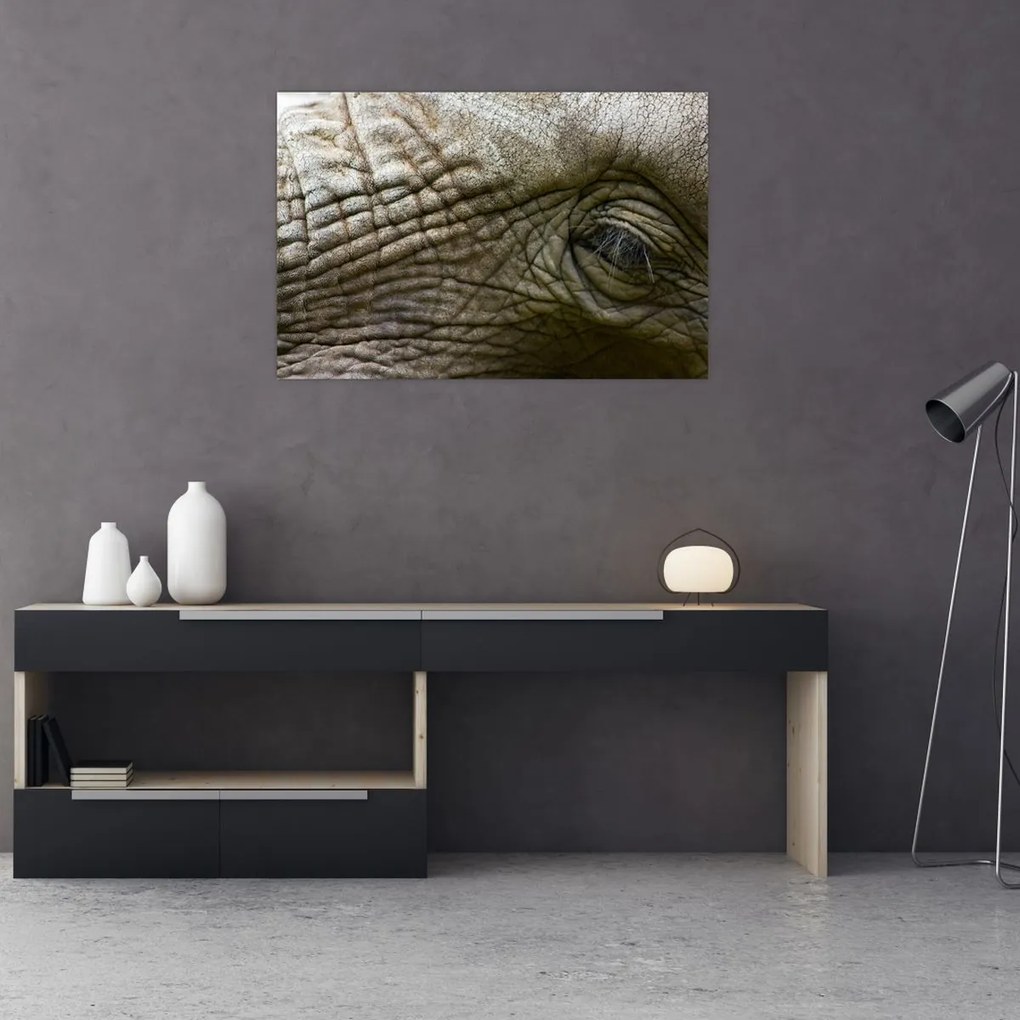 Tablou - Prim-planul ochiului de elefant vechi (90x60 cm)