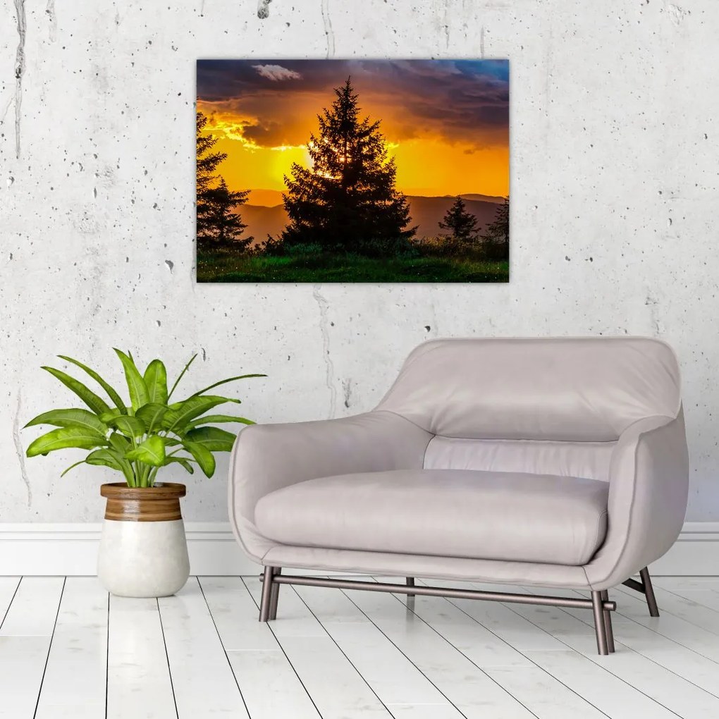 Tablou - coniferi (70x50 cm)