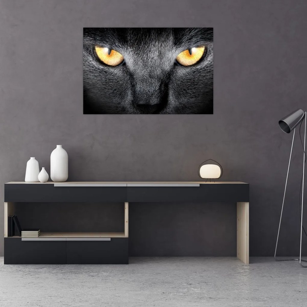 Tablou - Close up portret de o pisică (90x60 cm)