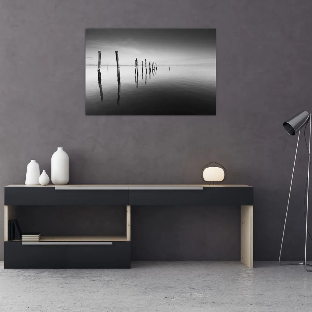 Tablou cu nivelul de lac alb negru (90x60 cm)