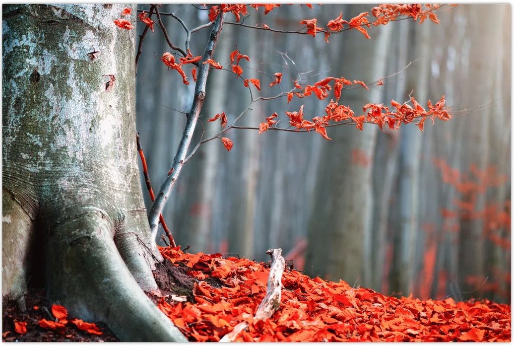 Tablou - Toamna (90x60 cm)