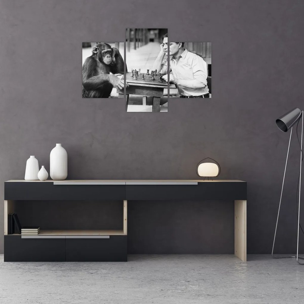 Tablou - Circ 2 (90x60 cm)