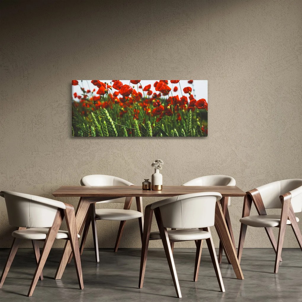 Tablou - Maci în vânt (120x50 cm)