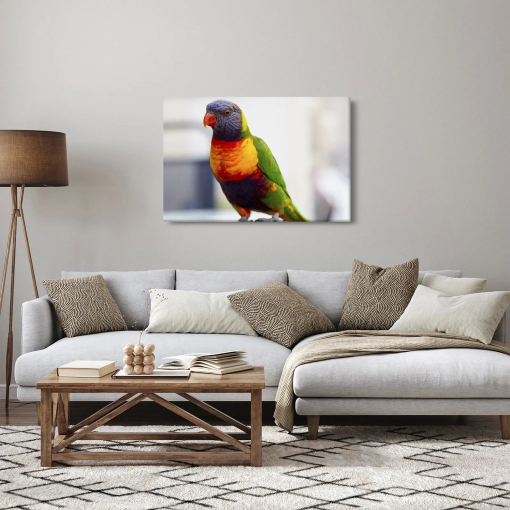 Tablou cu papagal (90x60 cm)