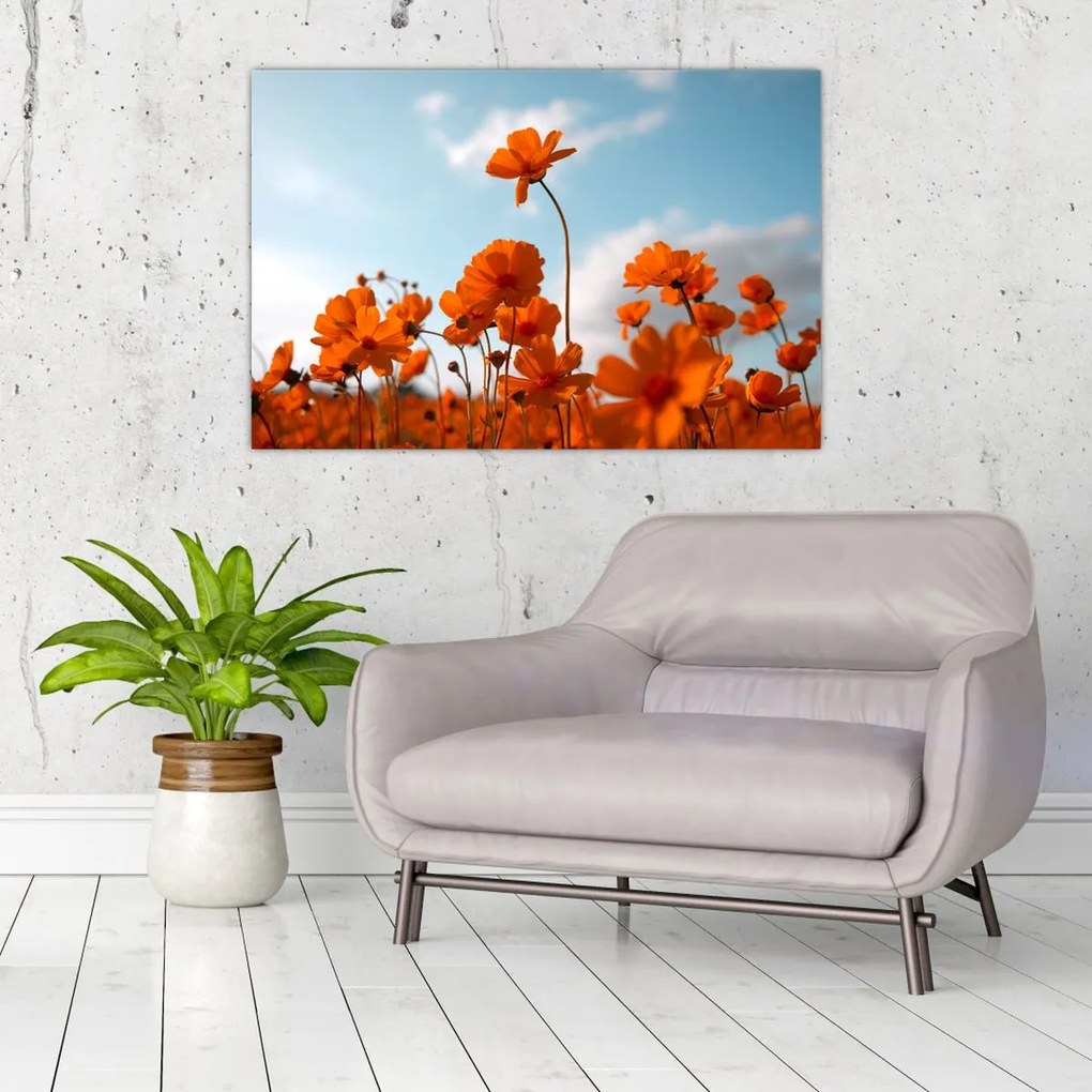 Tablou - Flori sălbatice (90x60 cm)