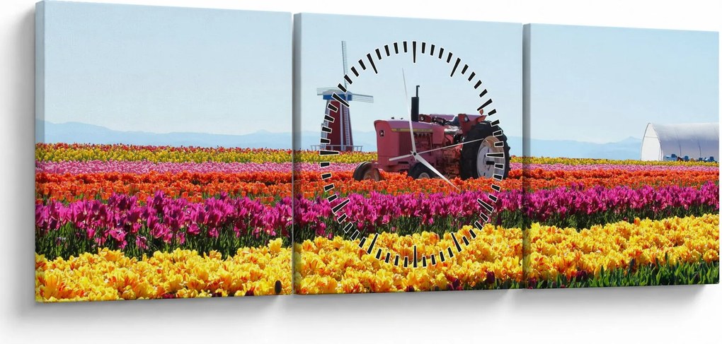 Tablou cu farma de lalele (cu ceas) (90x30 cm)