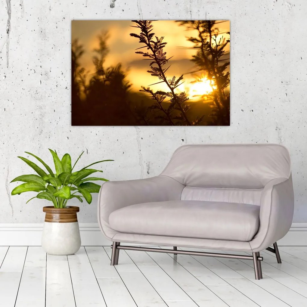 Tablou - Apus de soare (90x60 cm)
