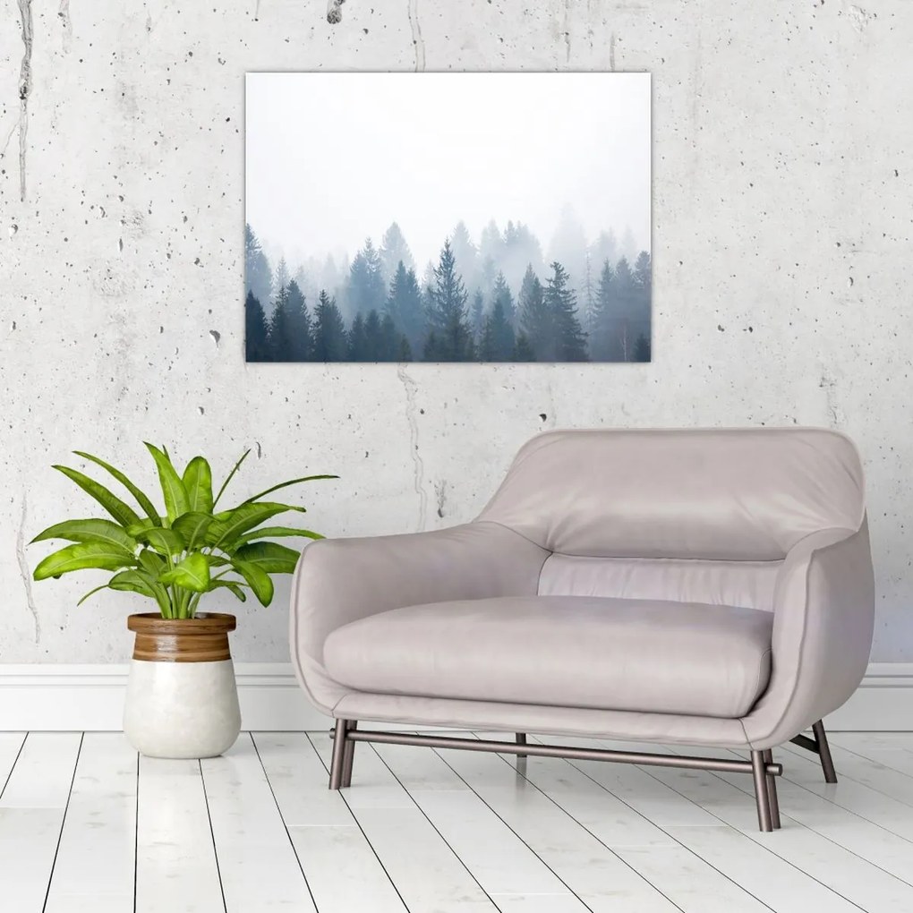 Tablou pe sticlă - Pădure cețoasă (70x50 cm)
