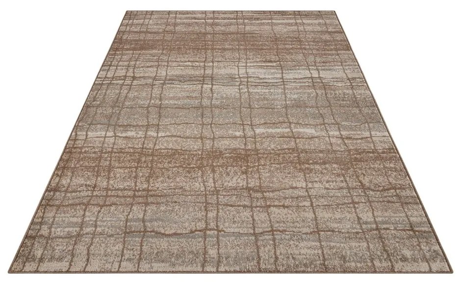 Covor maro/bej 120x80 cm Terrain - Hanse Home