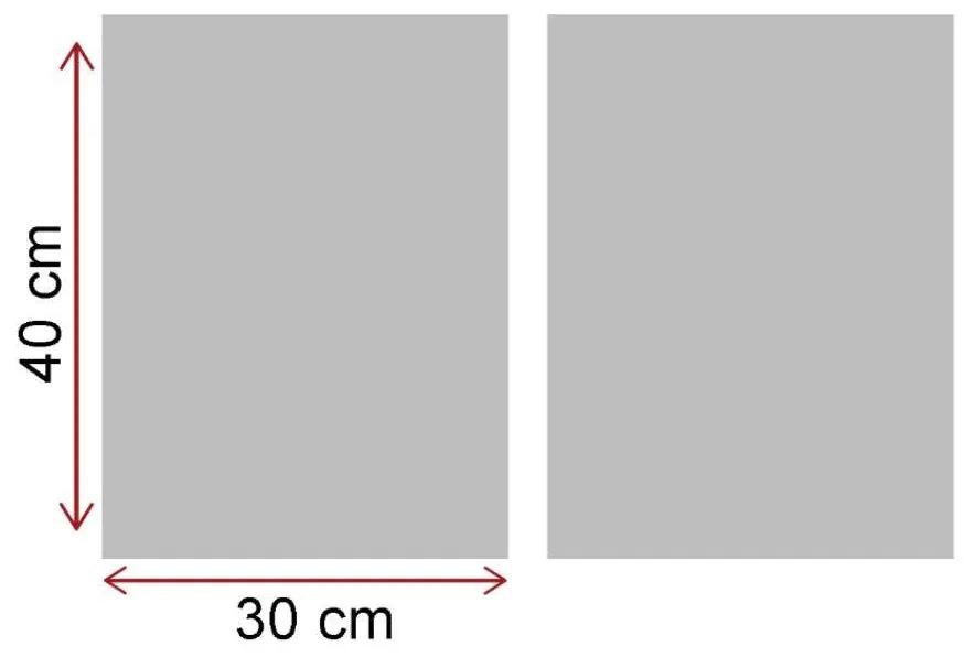 Tablou Papadie, Alb - Negru, 40x62 cm, 2 bucăți