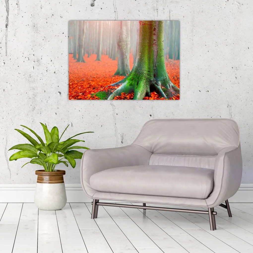 Tablou cu pomi (70x50 cm)