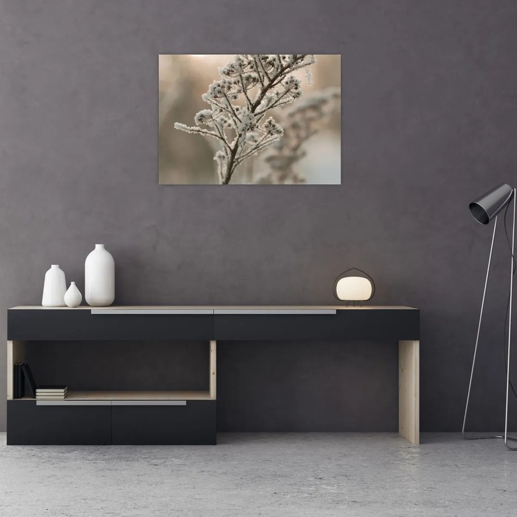 Tablou pe sticlă - Plantează în îngheț (70x50 cm)