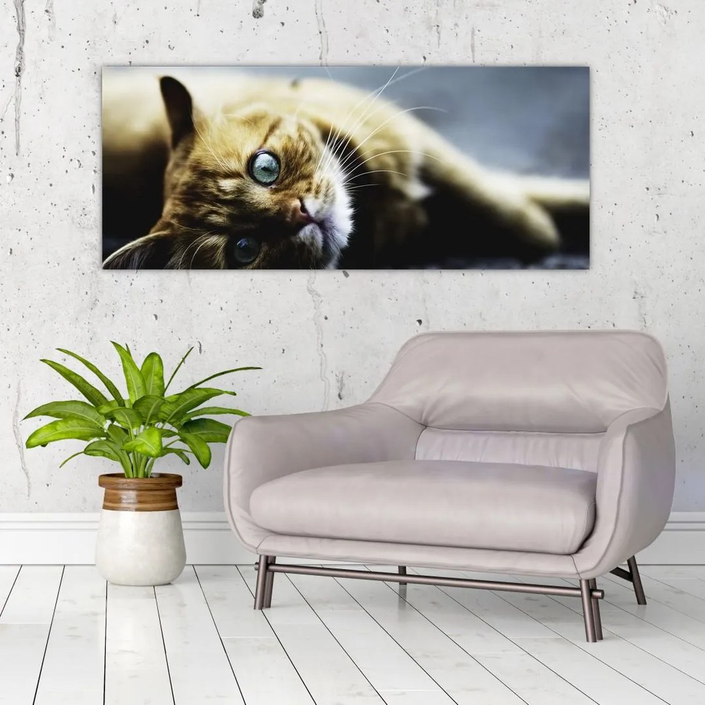Tablou cu pisica (120x50 cm)