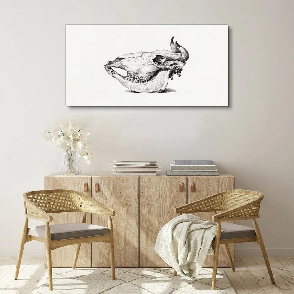 Tablou canvas Desen craniu de vacă