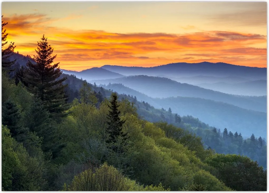 Tablou - răsărit de soare (70x50 cm)