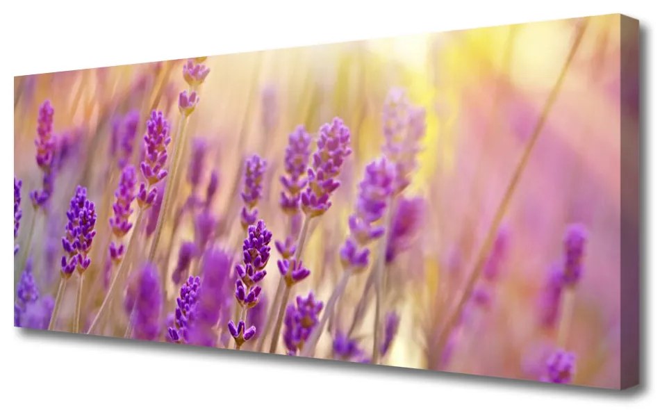 Tablou pe panza canvas Flori roz Floral