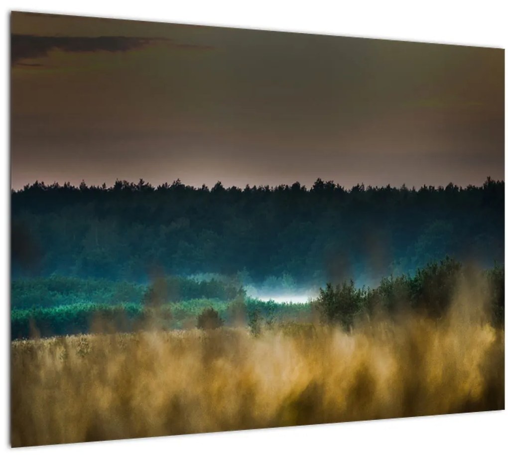 Tablou - Peisaj de munte (70x50 cm)