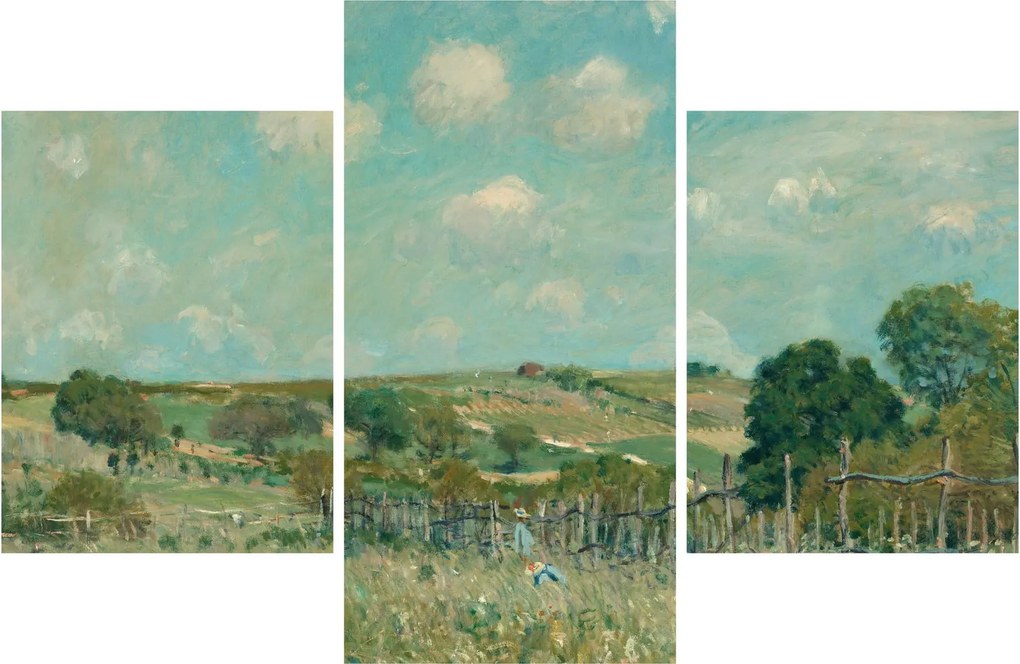 Tablou - Alfred Sisley, Meadow, reproducere (90x60 cm)