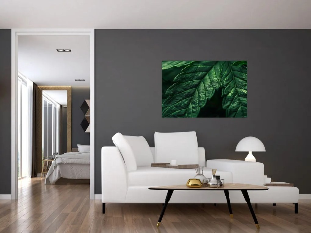 Tablou - Detaliu al foii (90x60 cm)